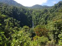 17 Tage Rundreise Costa Rica – einzigartige Naturreise San José – Vulkane Poas & Arenal – Braulio Carrillo NP – Cahuita NP – Tortuguero NP – Monteverde – Santa Elena – Carara NP – Marino Ballen (953)