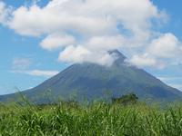 17 Tage Rundreise Costa Rica – einzigartige Naturreise San José – Vulkane Poas & Arenal – Braulio Carrillo NP – Cahuita NP – Tortuguero NP – Monteverde – Santa Elena – Carara NP – Marino Ballen (957)