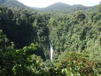 17 Tage Rundreise Costa Rica – einzigartige Naturreise San José – Vulkane Poas & Arenal – Braulio Carrillo NP – Cahuita NP – Tortuguero NP – Monteverde – Santa Elena – Carara NP – Marino Ballen (977)