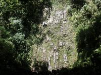 17 Tage Rundreise Costa Rica – einzigartige Naturreise San José – Vulkane Poas & Arenal – Braulio Carrillo NP – Cahuita NP – Tortuguero NP – Monteverde – Santa Elena – Carara NP – Marino Ballen (982)