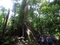 17 Tage Rundreise Costa Rica – einzigartige Naturreise San José – Vulkane Poas & Arenal – Braulio Carrillo NP – Cahuita NP – Tortuguero NP – Monteverde – Santa Elena – Carara NP – Marino Ballen (1108)