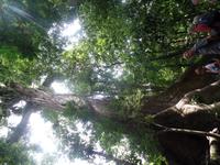 17 Tage Rundreise Costa Rica – einzigartige Naturreise San José – Vulkane Poas & Arenal – Braulio Carrillo NP – Cahuita NP – Tortuguero NP – Monteverde – Santa Elena – Carara NP – Marino Ballen (1110)