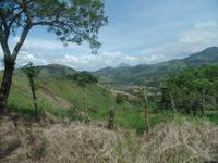 17 Tage Rundreise Costa Rica – einzigartige Naturreise San José – Vulkane Poas & Arenal – Braulio Carrillo NP – Cahuita NP – Tortuguero NP – Monteverde – Santa Elena – Carara NP – Marino Ballen (1139)