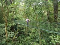 17 Tage Rundreise Costa Rica – einzigartige Naturreise San José – Vulkane Poas & Arenal – Braulio Carrillo NP – Cahuita NP – Tortuguero NP – Monteverde – Santa Elena – Carara NP – Marino Ballen (1171)