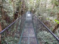 17 Tage Rundreise Costa Rica – einzigartige Naturreise San José – Vulkane Poas & Arenal – Braulio Carrillo NP – Cahuita NP – Tortuguero NP – Monteverde – Santa Elena – Carara NP – Marino Ballen (1205)