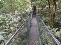 17 Tage Rundreise Costa Rica – einzigartige Naturreise San José – Vulkane Poas & Arenal – Braulio Carrillo NP – Cahuita NP – Tortuguero NP – Monteverde – Santa Elena – Carara NP – Marino Ballen (1210)