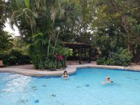 17 Tage Rundreise Costa Rica – einzigartige Naturreise San José – Vulkane Poas & Arenal – Braulio Carrillo NP – Cahuita NP – Tortuguero NP – Monteverde – Santa Elena – Carara NP – Marino Ballen (1268)