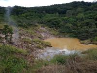 17 Tage Rundreise Costa Rica – einzigartige Naturreise San José – Vulkane Poas & Arenal – Braulio Carrillo NP – Cahuita NP – Tortuguero NP – Monteverde – Santa Elena – Carara NP – Marino Ballen (1359)