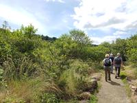 17 Tage Rundreise Costa Rica – einzigartige Naturreise San José – Vulkane Poas & Arenal – Braulio Carrillo NP – Cahuita NP – Tortuguero NP – Monteverde – Santa Elena – Carara NP – Marino Ballen (1361)