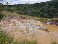 17 Tage Rundreise Costa Rica – einzigartige Naturreise San José – Vulkane Poas & Arenal – Braulio Carrillo NP – Cahuita NP – Tortuguero NP – Monteverde – Santa Elena – Carara NP – Marino Ballen (1362)