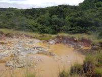 17 Tage Rundreise Costa Rica – einzigartige Naturreise San José – Vulkane Poas & Arenal – Braulio Carrillo NP – Cahuita NP – Tortuguero NP – Monteverde – Santa Elena – Carara NP – Marino Ballen (1363)