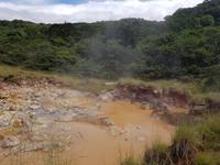 17 Tage Rundreise Costa Rica – einzigartige Naturreise San José – Vulkane Poas & Arenal – Braulio Carrillo NP – Cahuita NP – Tortuguero NP – Monteverde – Santa Elena – Carara NP – Marino Ballen (1364)