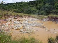 17 Tage Rundreise Costa Rica – einzigartige Naturreise San José – Vulkane Poas & Arenal – Braulio Carrillo NP – Cahuita NP – Tortuguero NP – Monteverde – Santa Elena – Carara NP – Marino Ballen (1365)