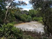 17 Tage Rundreise Costa Rica – einzigartige Naturreise San José – Vulkane Poas & Arenal – Braulio Carrillo NP – Cahuita NP – Tortuguero NP – Monteverde – Santa Elena – Carara NP – Marino Ballen (1369)