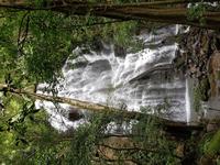 17 Tage Rundreise Costa Rica – einzigartige Naturreise San José – Vulkane Poas & Arenal – Braulio Carrillo NP – Cahuita NP – Tortuguero NP – Monteverde – Santa Elena – Carara NP – Marino Ballen (1370)