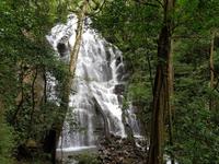 17 Tage Rundreise Costa Rica – einzigartige Naturreise San José – Vulkane Poas & Arenal – Braulio Carrillo NP – Cahuita NP – Tortuguero NP – Monteverde – Santa Elena – Carara NP – Marino Ballen (1371)