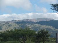 17 Tage Rundreise Costa Rica – einzigartige Naturreise San José – Vulkane Poas & Arenal – Braulio Carrillo NP – Cahuita NP – Tortuguero NP – Monteverde – Santa Elena – Carara NP – Marino Ballen (1411)