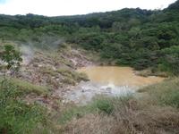 17 Tage Rundreise Costa Rica – einzigartige Naturreise San José – Vulkane Poas & Arenal – Braulio Carrillo NP – Cahuita NP – Tortuguero NP – Monteverde – Santa Elena – Carara NP – Marino Ballen (1433)