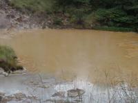 17 Tage Rundreise Costa Rica – einzigartige Naturreise San José – Vulkane Poas & Arenal – Braulio Carrillo NP – Cahuita NP – Tortuguero NP – Monteverde – Santa Elena – Carara NP – Marino Ballen (1434)