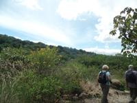 17 Tage Rundreise Costa Rica – einzigartige Naturreise San José – Vulkane Poas & Arenal – Braulio Carrillo NP – Cahuita NP – Tortuguero NP – Monteverde – Santa Elena – Carara NP – Marino Ballen (1435)