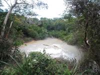 17 Tage Rundreise Costa Rica – einzigartige Naturreise San José – Vulkane Poas & Arenal – Braulio Carrillo NP – Cahuita NP – Tortuguero NP – Monteverde – Santa Elena – Carara NP – Marino Ballen (1446)