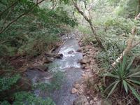 17 Tage Rundreise Costa Rica – einzigartige Naturreise San José – Vulkane Poas & Arenal – Braulio Carrillo NP – Cahuita NP – Tortuguero NP – Monteverde – Santa Elena – Carara NP – Marino Ballen (1447)