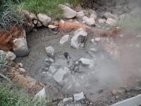 17 Tage Rundreise Costa Rica – einzigartige Naturreise San José – Vulkane Poas & Arenal – Braulio Carrillo NP – Cahuita NP – Tortuguero NP – Monteverde – Santa Elena – Carara NP – Marino Ballen (1450)