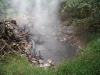 17 Tage Rundreise Costa Rica – einzigartige Naturreise San José – Vulkane Poas & Arenal – Braulio Carrillo NP – Cahuita NP – Tortuguero NP – Monteverde – Santa Elena – Carara NP – Marino Ballen (1456)