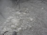 17 Tage Rundreise Costa Rica – einzigartige Naturreise San José – Vulkane Poas & Arenal – Braulio Carrillo NP – Cahuita NP – Tortuguero NP – Monteverde – Santa Elena – Carara NP – Marino Ballen (1458)