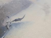 17 Tage Rundreise Costa Rica – einzigartige Naturreise San José – Vulkane Poas & Arenal – Braulio Carrillo NP – Cahuita NP – Tortuguero NP – Monteverde – Santa Elena – Carara NP – Marino Ballen (1488)