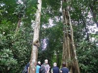 17 Tage Rundreise Costa Rica – einzigartige Naturreise San José – Vulkane Poas & Arenal – Braulio Carrillo NP – Cahuita NP – Tortuguero NP – Monteverde – Santa Elena – Carara NP – Marino Ballen (1546)