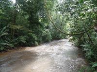 17 Tage Rundreise Costa Rica – einzigartige Naturreise San José – Vulkane Poas & Arenal – Braulio Carrillo NP – Cahuita NP – Tortuguero NP – Monteverde – Santa Elena – Carara NP – Marino Ballen (1555)