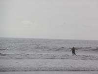 17 Tage Rundreise Costa Rica – einzigartige Naturreise San José – Vulkane Poas & Arenal – Braulio Carrillo NP – Cahuita NP – Tortuguero NP – Monteverde – Santa Elena – Carara NP – Marino Ballen (1573)