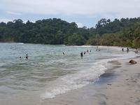 17 Tage Rundreise Costa Rica – einzigartige Naturreise San José – Vulkane Poas & Arenal – Braulio Carrillo NP – Cahuita NP – Tortuguero NP – Monteverde – Santa Elena – Carara NP – Marino Ballen (1597)