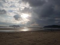 17 Tage Rundreise Costa Rica – einzigartige Naturreise San José – Vulkane Poas & Arenal – Braulio Carrillo NP – Cahuita NP – Tortuguero NP – Monteverde – Santa Elena – Carara NP – Marino Ballen (1633)