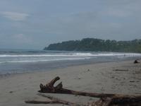 17 Tage Rundreise Costa Rica – einzigartige Naturreise San José – Vulkane Poas & Arenal – Braulio Carrillo NP – Cahuita NP – Tortuguero NP – Monteverde – Santa Elena – Carara NP – Marino Ballen (1645)