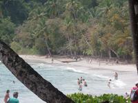 17 Tage Rundreise Costa Rica – einzigartige Naturreise San José – Vulkane Poas & Arenal – Braulio Carrillo NP – Cahuita NP – Tortuguero NP – Monteverde – Santa Elena – Carara NP – Marino Ballen (1699)