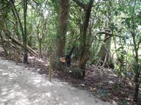 17 Tage Rundreise Costa Rica – einzigartige Naturreise San José – Vulkane Poas & Arenal – Braulio Carrillo NP – Cahuita NP – Tortuguero NP – Monteverde – Santa Elena – Carara NP – Marino Ballen (1719)