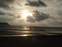 17 Tage Rundreise Costa Rica – einzigartige Naturreise San José – Vulkane Poas & Arenal – Braulio Carrillo NP – Cahuita NP – Tortuguero NP – Monteverde – Santa Elena – Carara NP – Marino Ballen (1736)