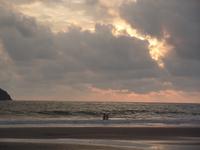 17 Tage Rundreise Costa Rica – einzigartige Naturreise San José – Vulkane Poas & Arenal – Braulio Carrillo NP – Cahuita NP – Tortuguero NP – Monteverde – Santa Elena – Carara NP – Marino Ballen (1741)