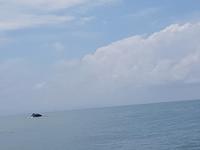 17 Tage Rundreise Costa Rica – einzigartige Naturreise San José – Vulkane Poas & Arenal – Braulio Carrillo NP – Cahuita NP – Tortuguero NP – Monteverde – Santa Elena – Carara NP – Marino Ballen (1770)