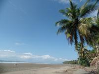 17 Tage Rundreise Costa Rica – einzigartige Naturreise San José – Vulkane Poas & Arenal – Braulio Carrillo NP – Cahuita NP – Tortuguero NP – Monteverde – Santa Elena – Carara NP – Marino Ballen (1784)