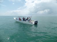 17 Tage Rundreise Costa Rica – einzigartige Naturreise San José – Vulkane Poas & Arenal – Braulio Carrillo NP – Cahuita NP – Tortuguero NP – Monteverde – Santa Elena – Carara NP – Marino Ballen (1810)