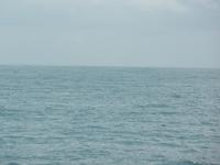 17 Tage Rundreise Costa Rica – einzigartige Naturreise San José – Vulkane Poas & Arenal – Braulio Carrillo NP – Cahuita NP – Tortuguero NP – Monteverde – Santa Elena – Carara NP – Marino Ballen (1817)