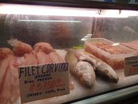 17 Tage Rundreise Costa Rica – einzigartige Naturreise San José – Vulkane Poas & Arenal – Braulio Carrillo NP – Cahuita NP – Tortuguero NP – Monteverde – Santa Elena – Carara NP – Marino Ballen (1895)