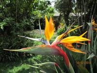 Lankester Botanischer Garten