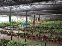 Lankester Botanischer Garten