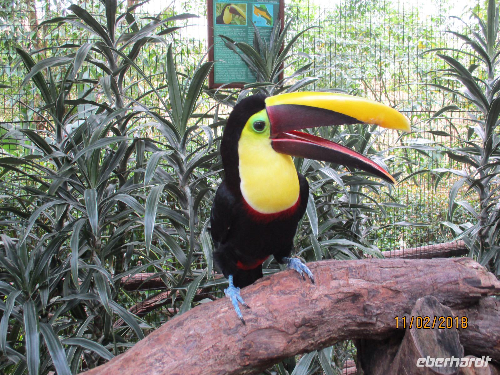 La Paz Waterfall Gardens