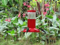 La Paz Waterfall Gardens