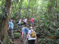 Braulio Carrillo Nationalpark